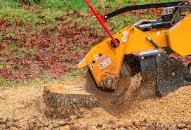 Best Tree and Shrub Care  in Logan, OH